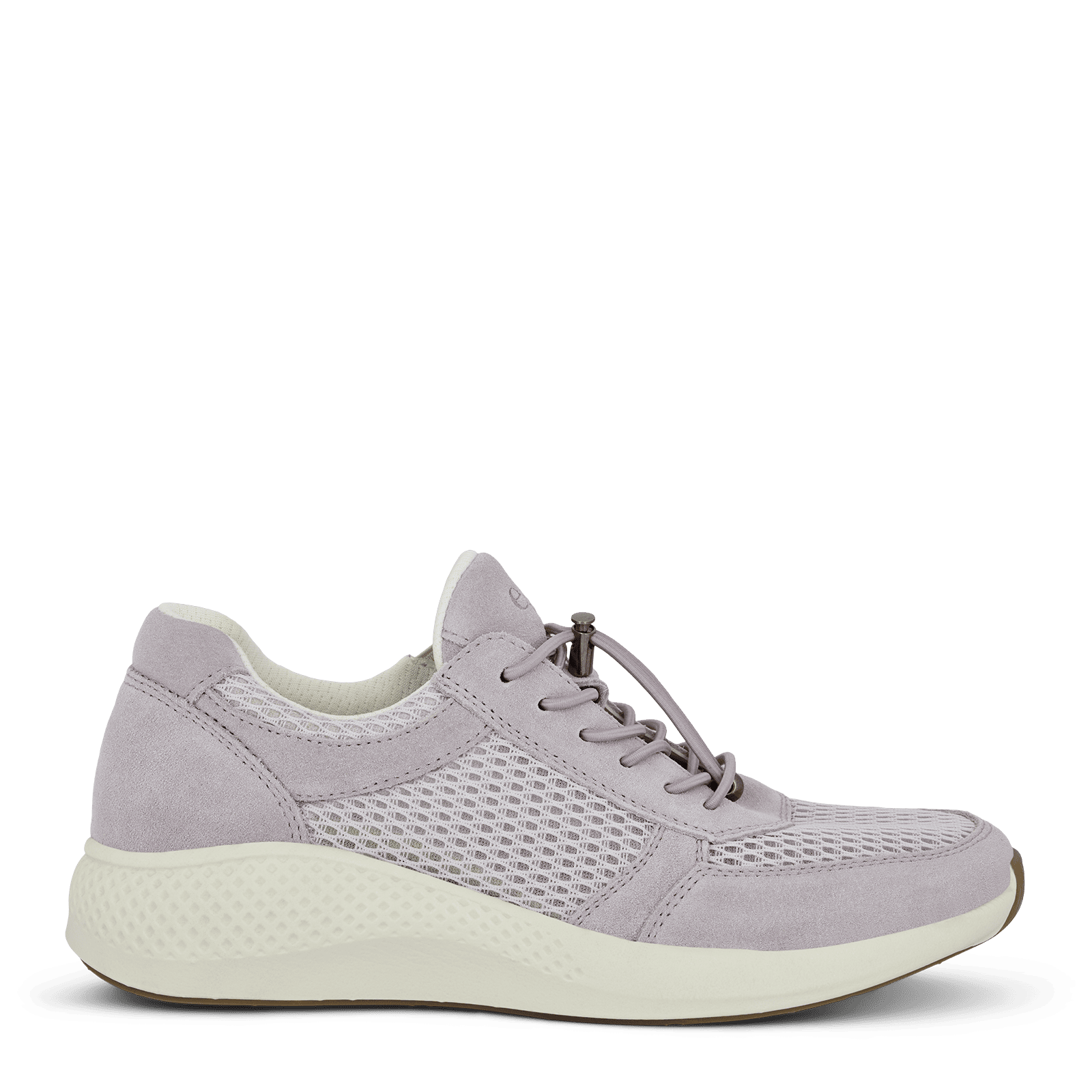 DOLPHIN DICTE - LAVENDER